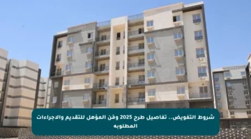 شروط التفويض.. تفاصيل طرح 2025 ومَن المؤهل للتقديم والإجراءات المطلوبة